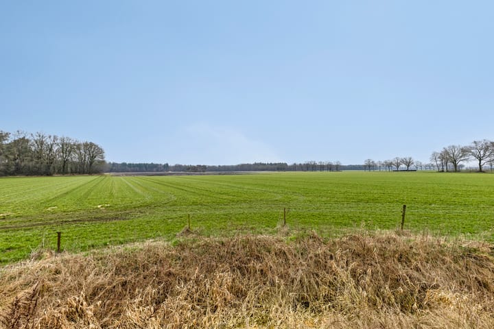 Foto 44 van Dissel 10