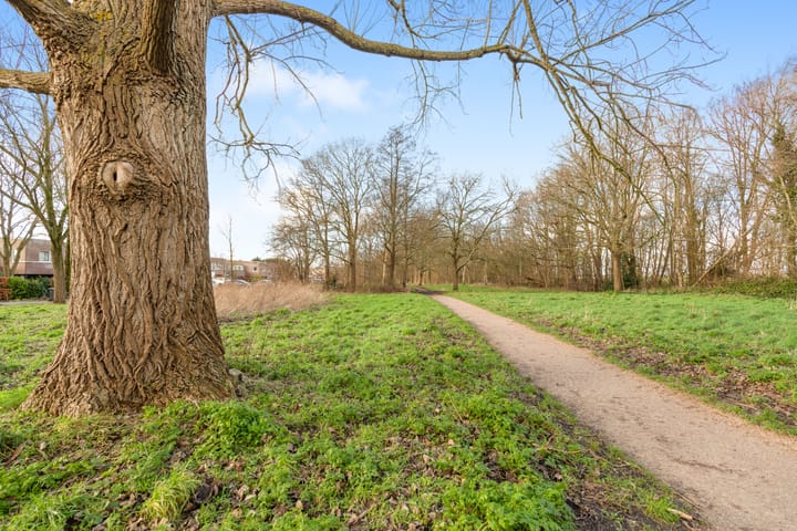 Foto 32 van Belieslaan 20