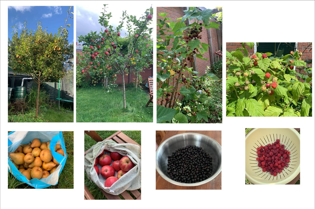 Foto 38 van Troelstralaan 21-B