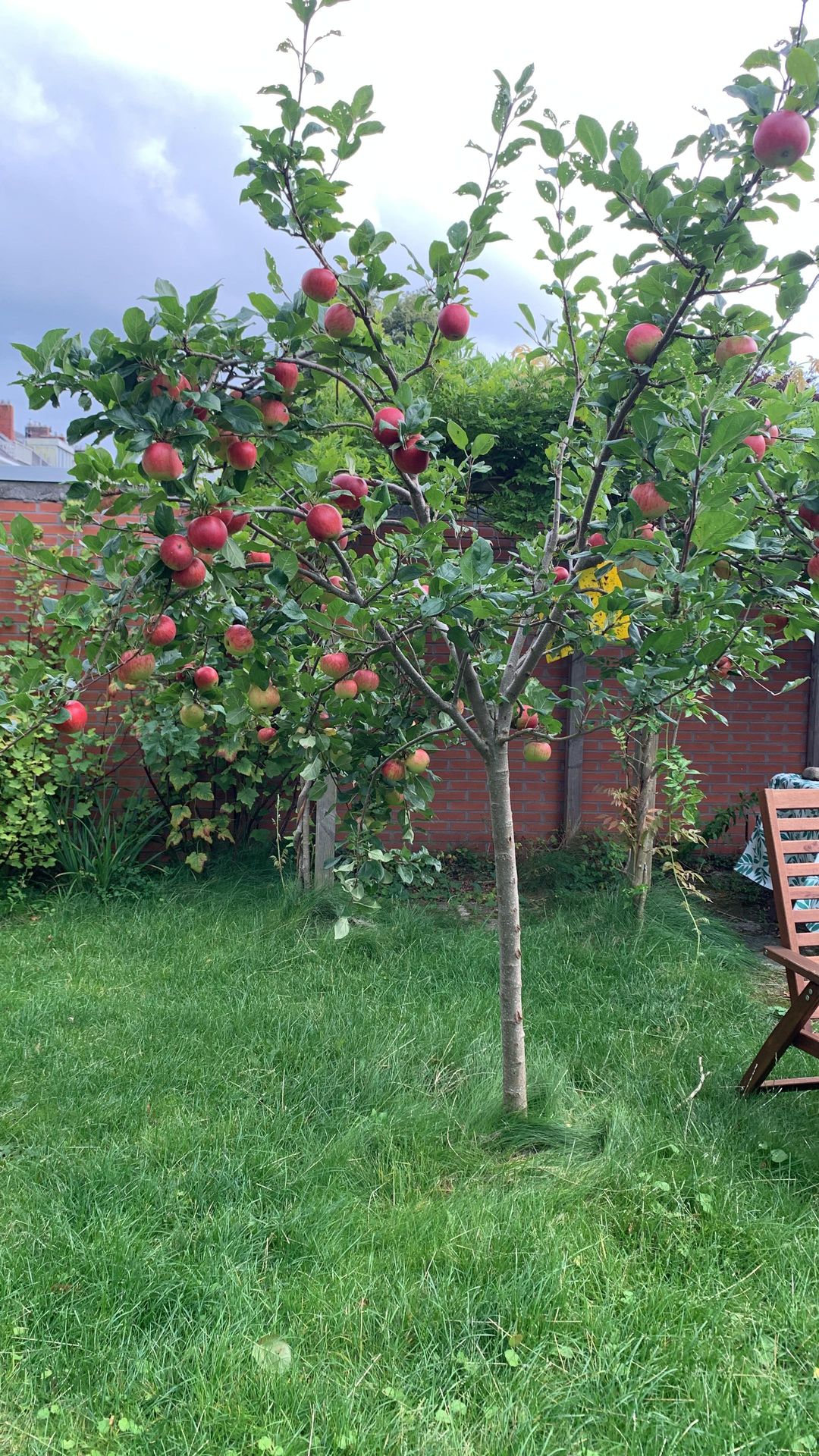 Foto 41 van Troelstralaan 21-B