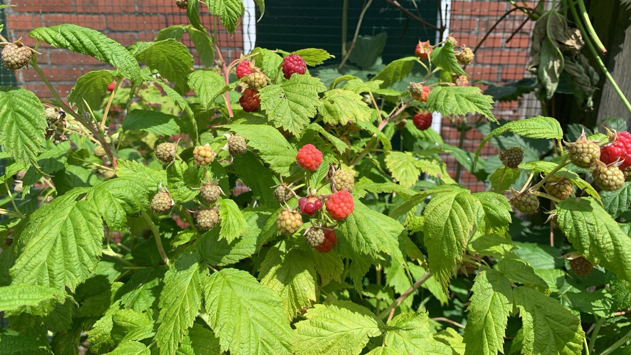 Foto 42 van Troelstralaan 21-B