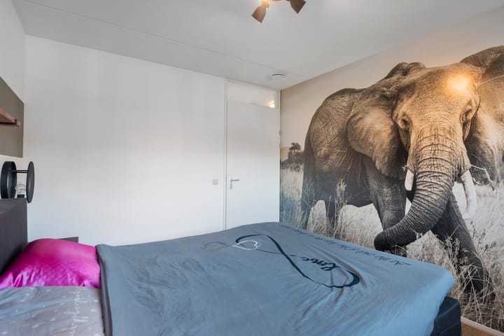 Foto 21 van Diamant 29