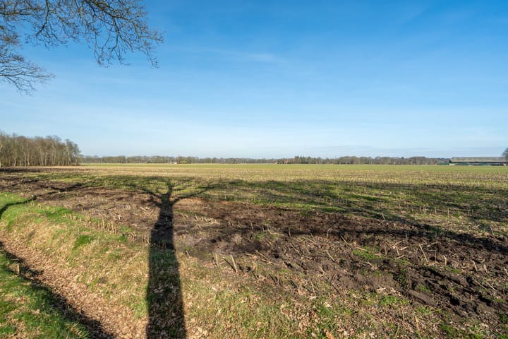 Foto 3 van Bij 't ven 3