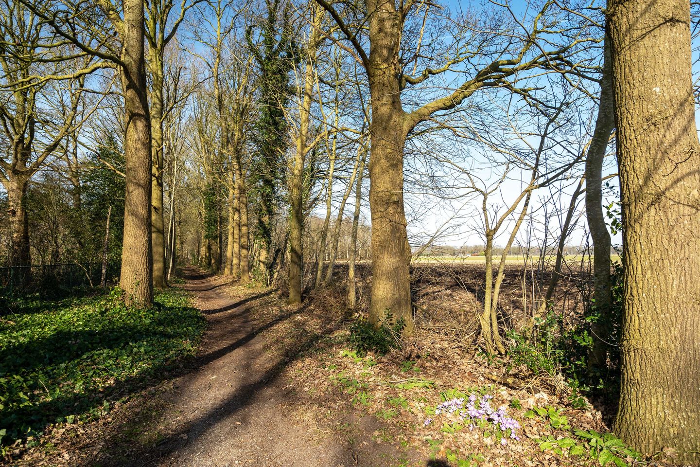 Foto 29 van Bij 't ven 3