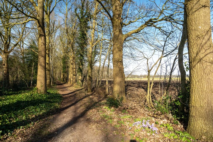 Foto 29 van Bij 't ven 3