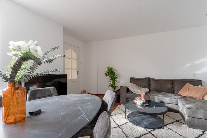 Foto 6 van Dokter Holtropstraat 169