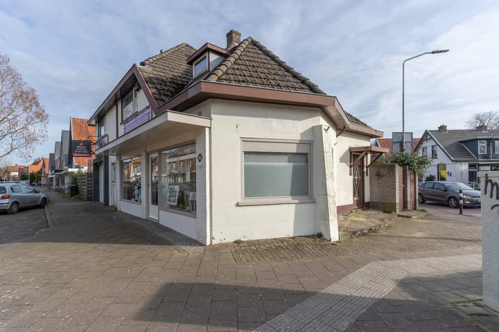 Foto 24 van Dokter Holtropstraat 169