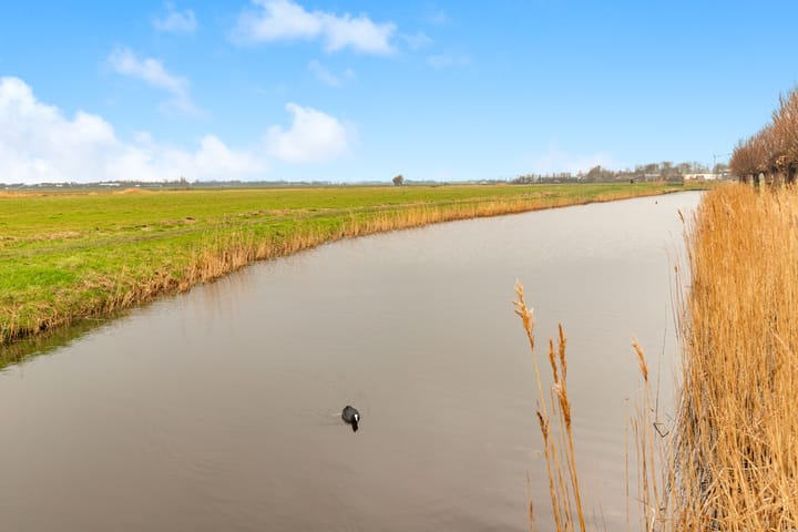 Foto 37 van Weegbree 7