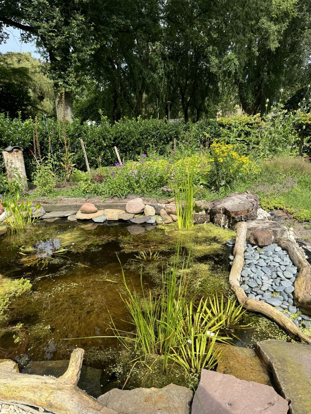 Foto 52 van Rietzangerstraat 1