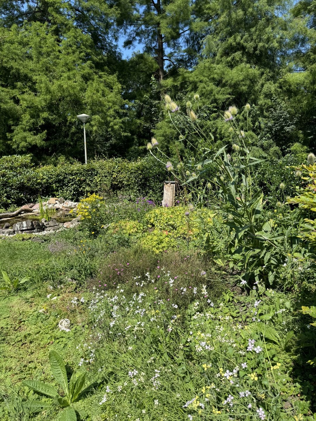 Foto 53 van Rietzangerstraat 1