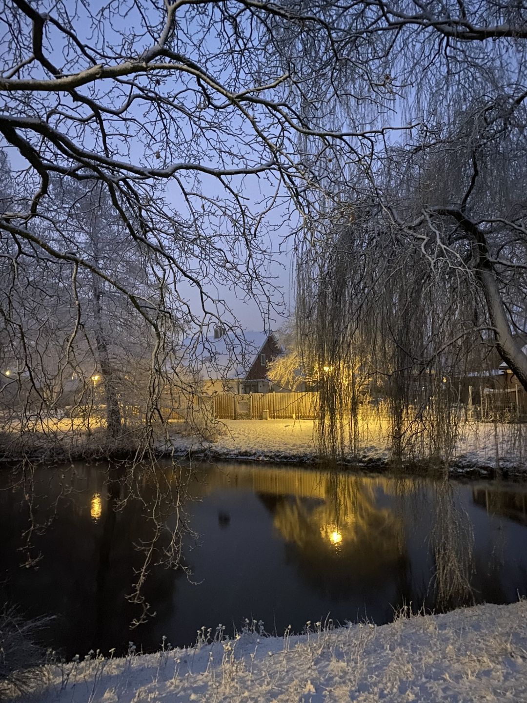 Foto 58 van Rietzangerstraat 1