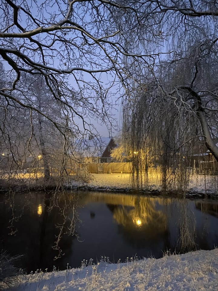 Foto 58 van Rietzangerstraat 1