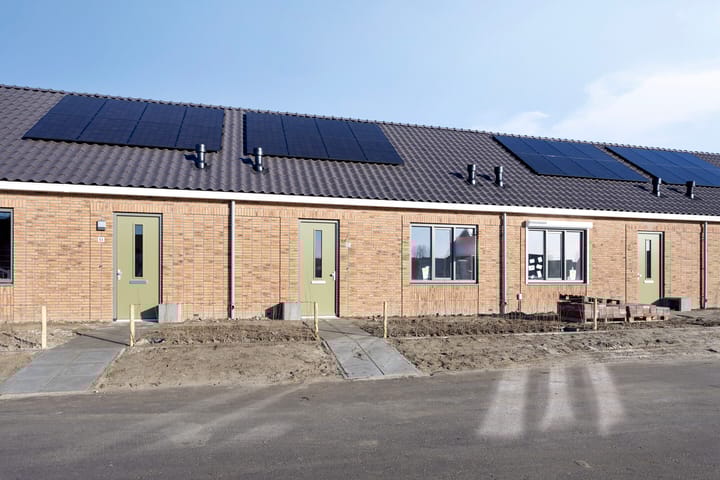 Photo 2 of Dikkertje Dap 62