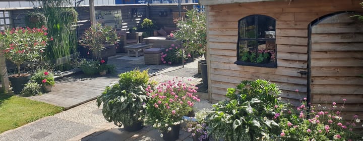 Foto 48 van Schenkeldijk 72-A