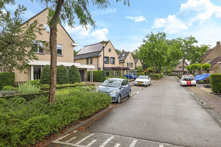 Foto 81 van Gieser Wildeman 15