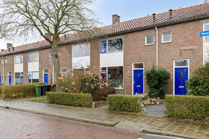 Foto 24 van Mesdagstraat 67