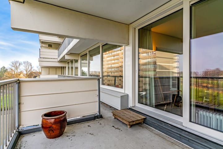 Foto 31 van Merellaan 451