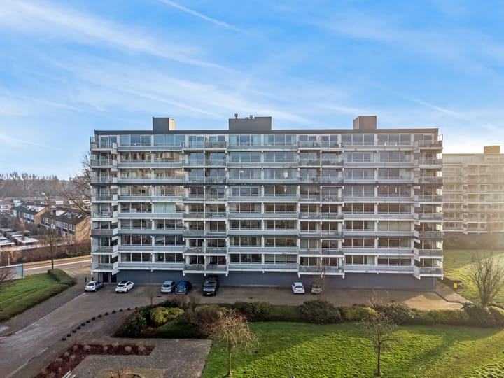 Foto 33 van Merellaan 451