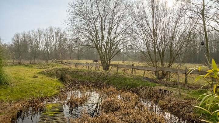 Foto 38 van Wierdensestraat 24