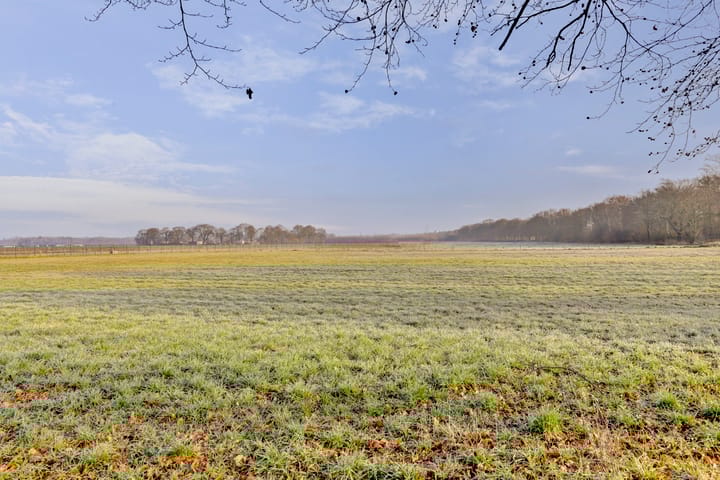 Foto 33 van Zandeind 6-D