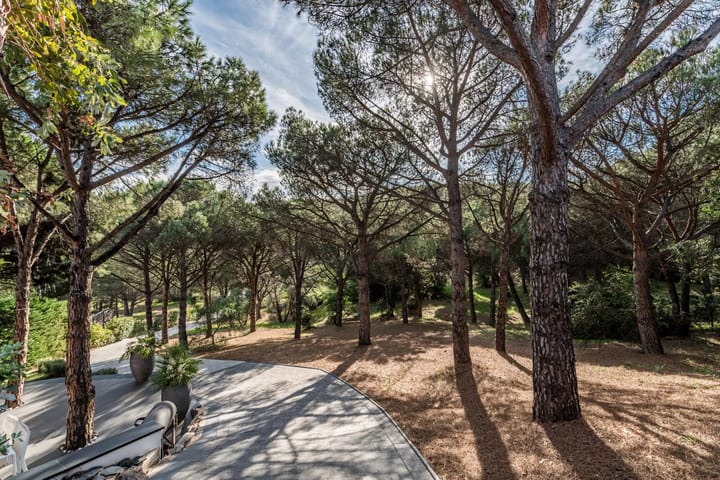 Foto 29 van Sainte-Maxime