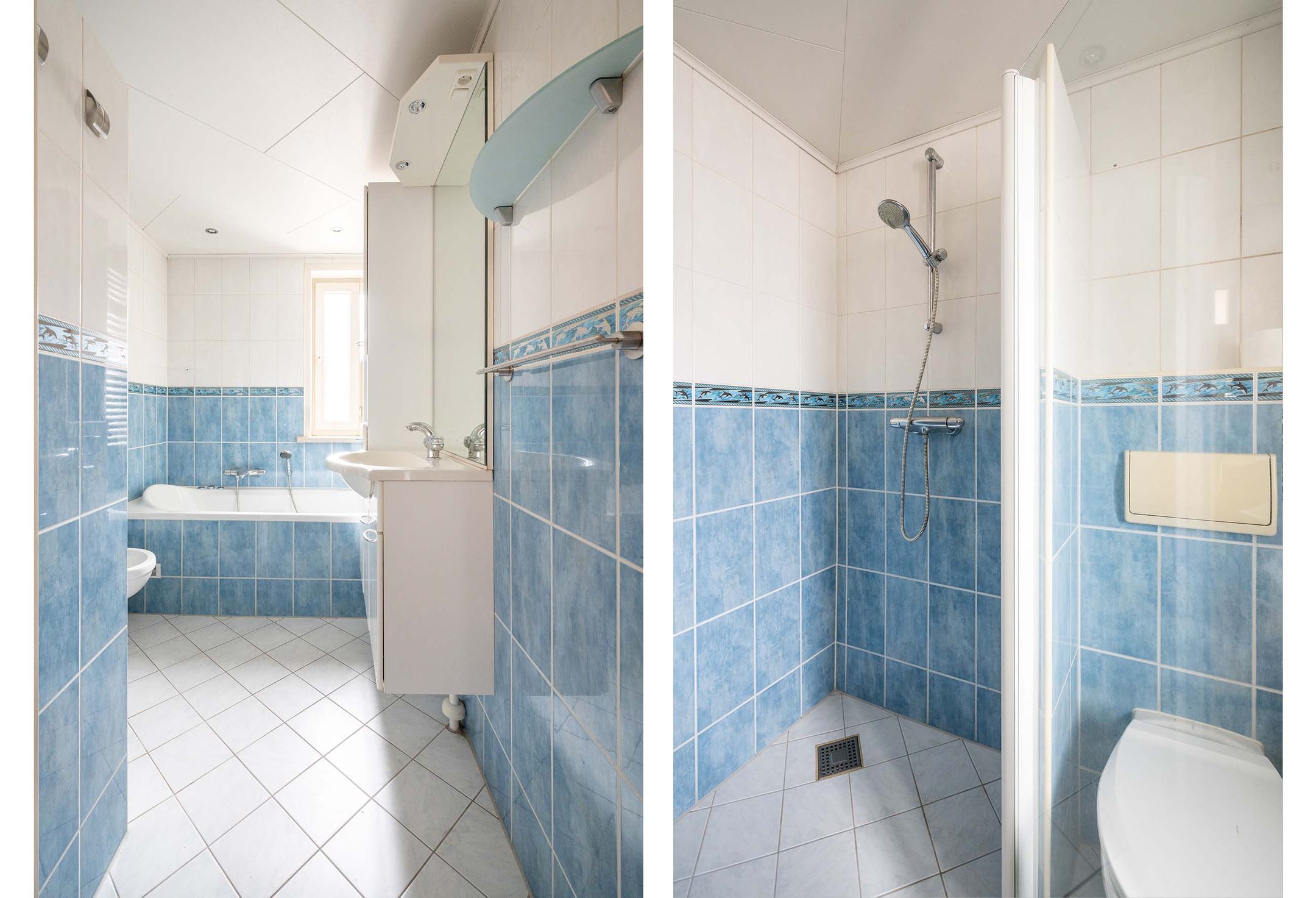 Foto 18 van Heelmeestersdreef 338