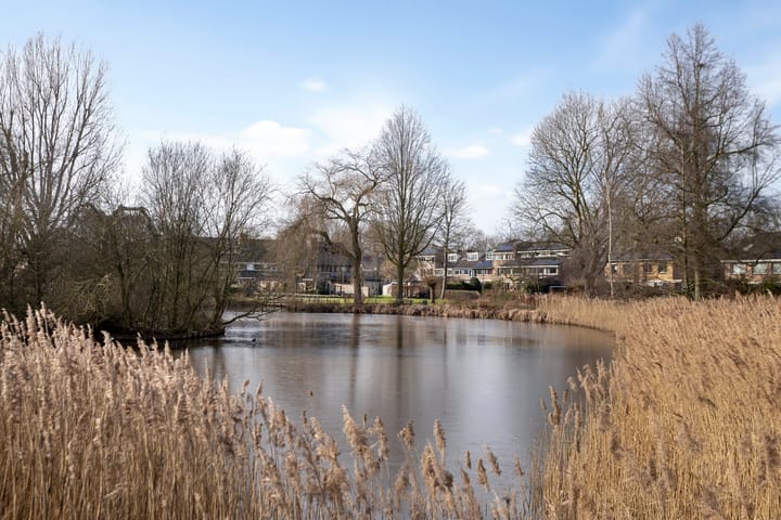 Foto 53 van Buntlaar 19