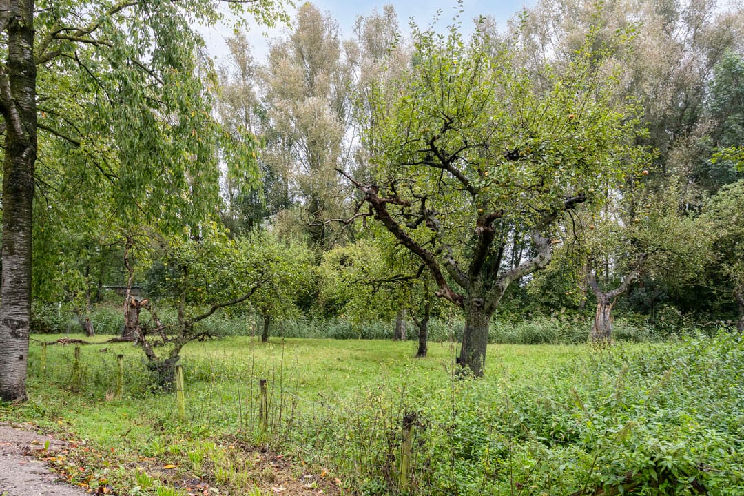 Foto 41 van Herentalsstraat 19