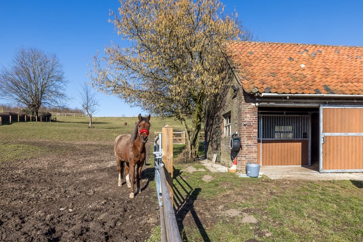 Foto 21 van Vaesrade 101