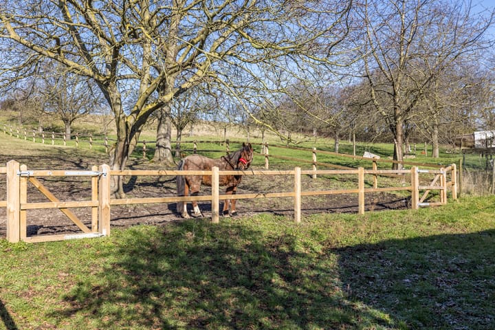 Foto 26 van Vaesrade 101