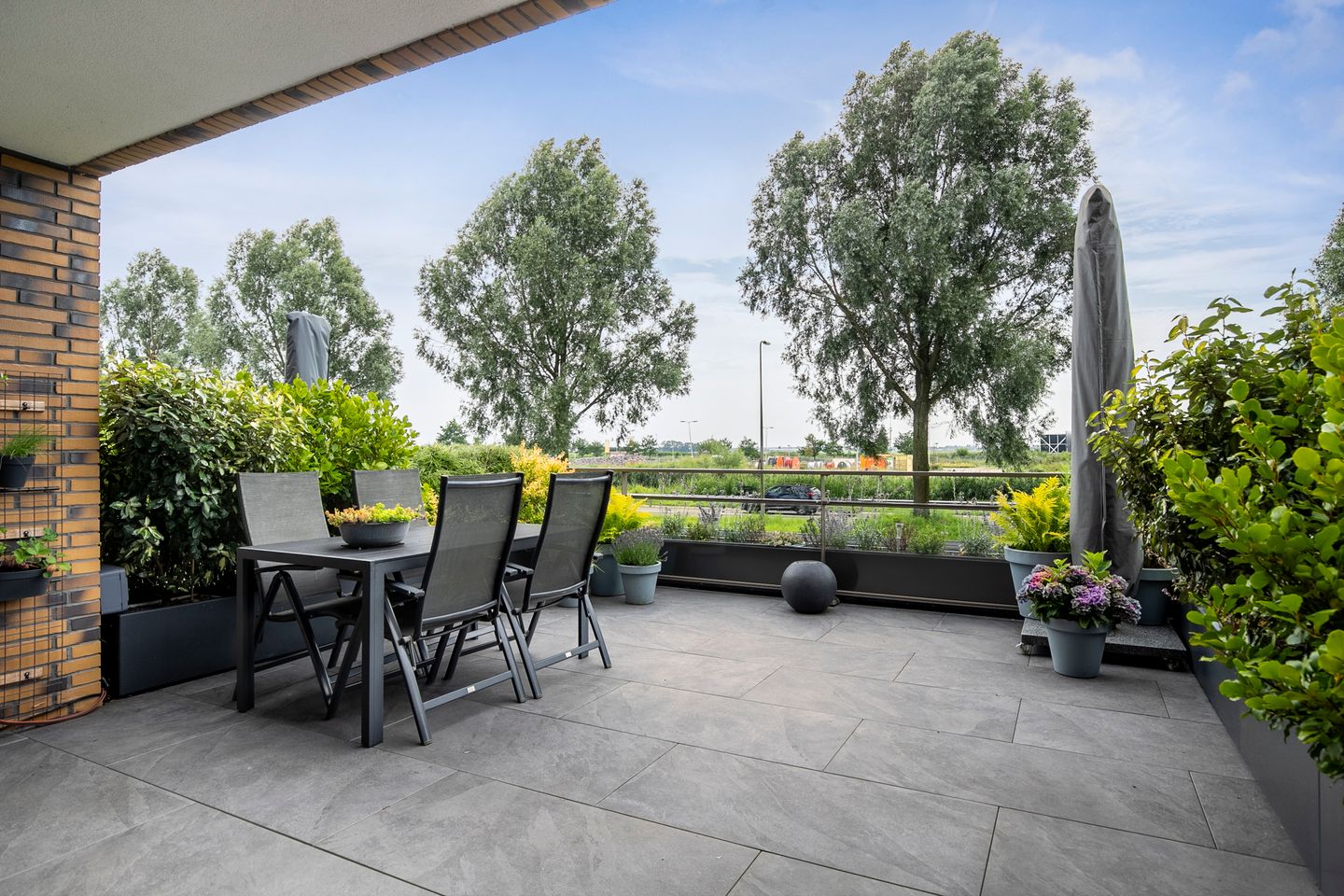 Foto 4 van Lisdodde 217