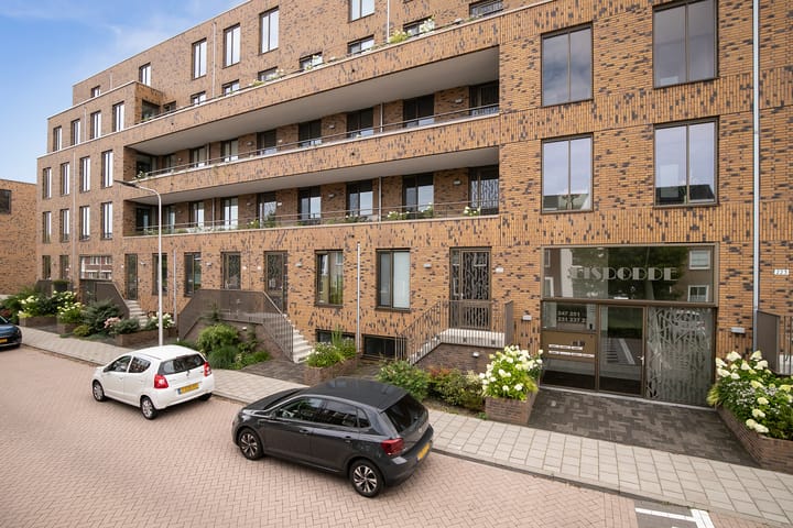 Foto 5 van Lisdodde 217