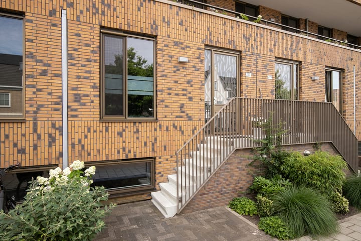 Foto 6 van Lisdodde 217