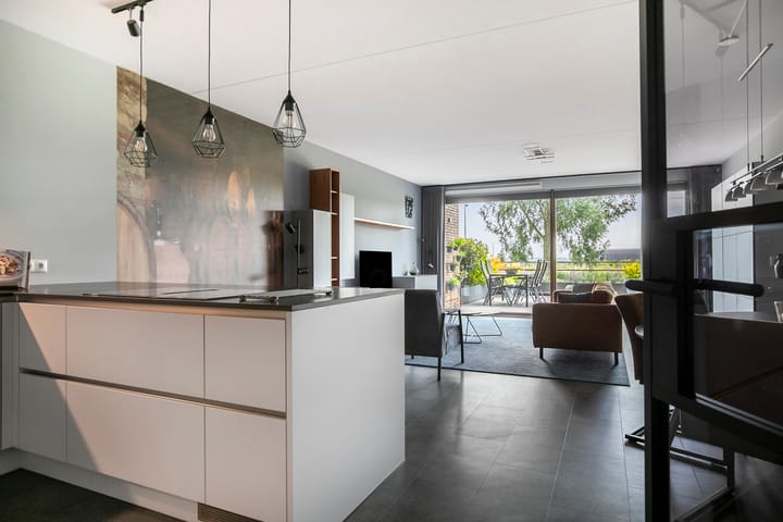 Foto 8 van Lisdodde 217