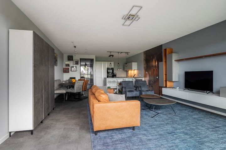 Foto 13 van Lisdodde 217