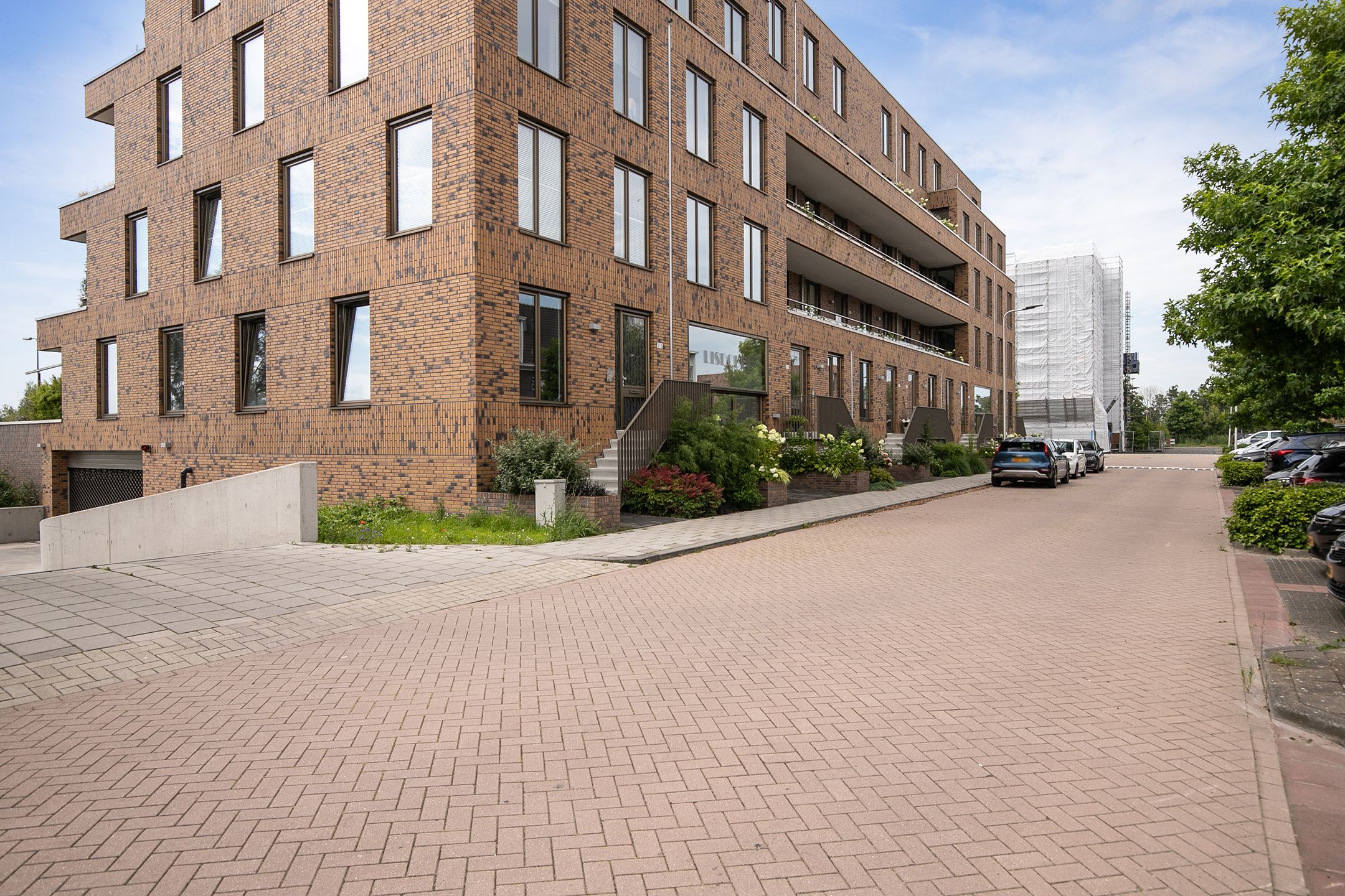 Foto 33 van Lisdodde 217