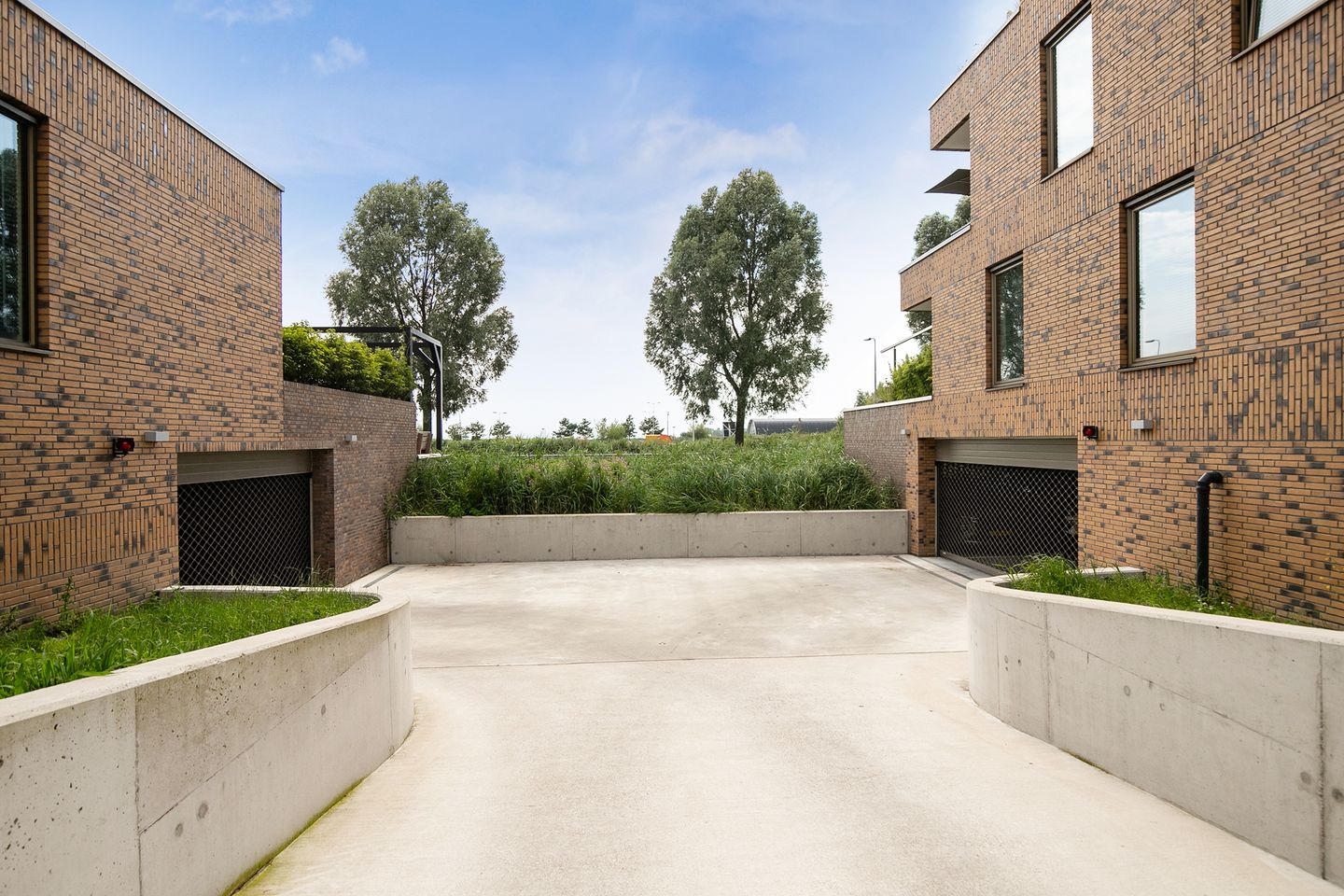 Foto 34 van Lisdodde 217