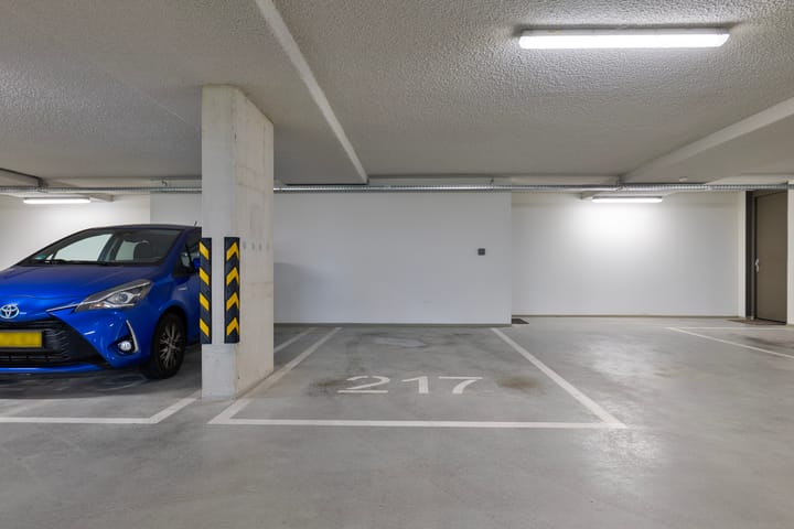 Foto 36 van Lisdodde 217