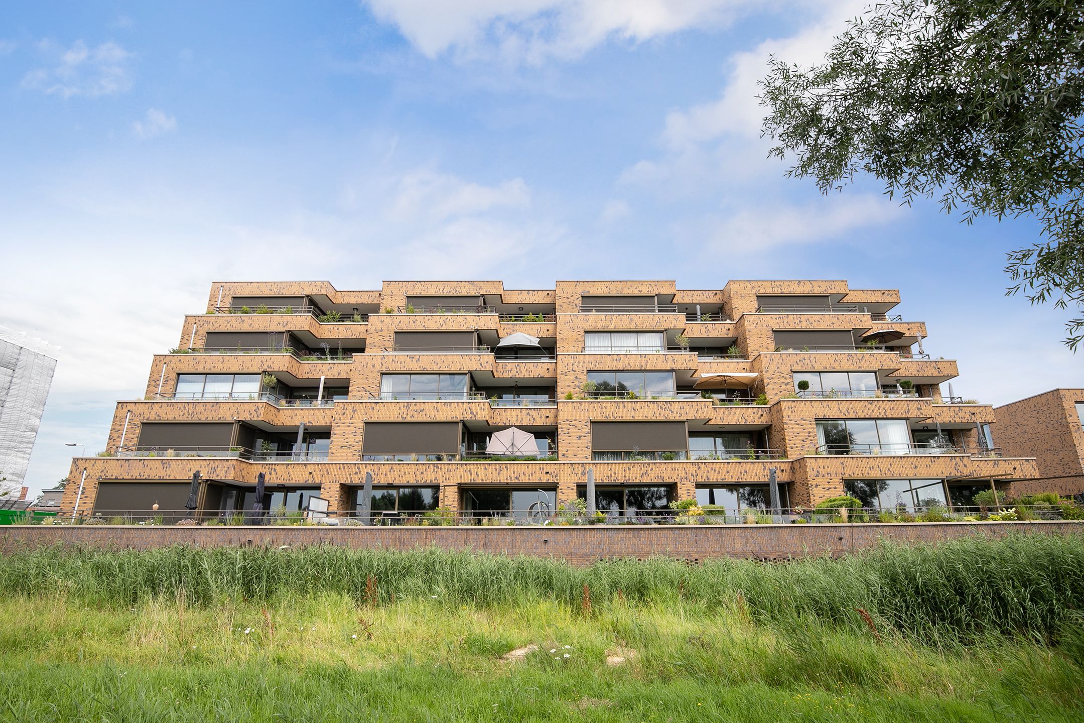 Foto 39 van Lisdodde 217