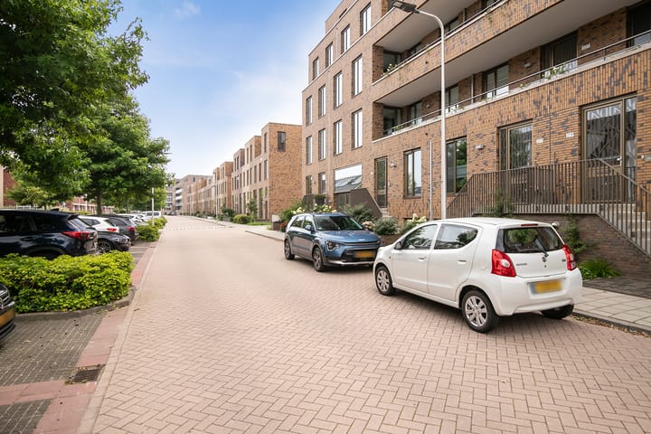 Foto 41 van Lisdodde 217