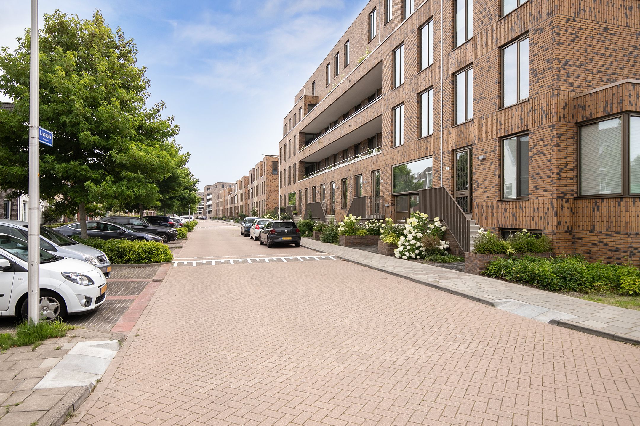 Foto 42 van Lisdodde 217