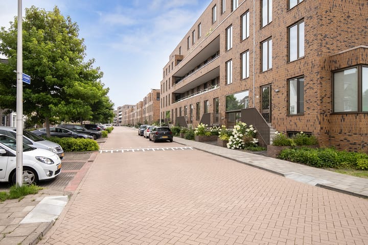 Foto 42 van Lisdodde 217