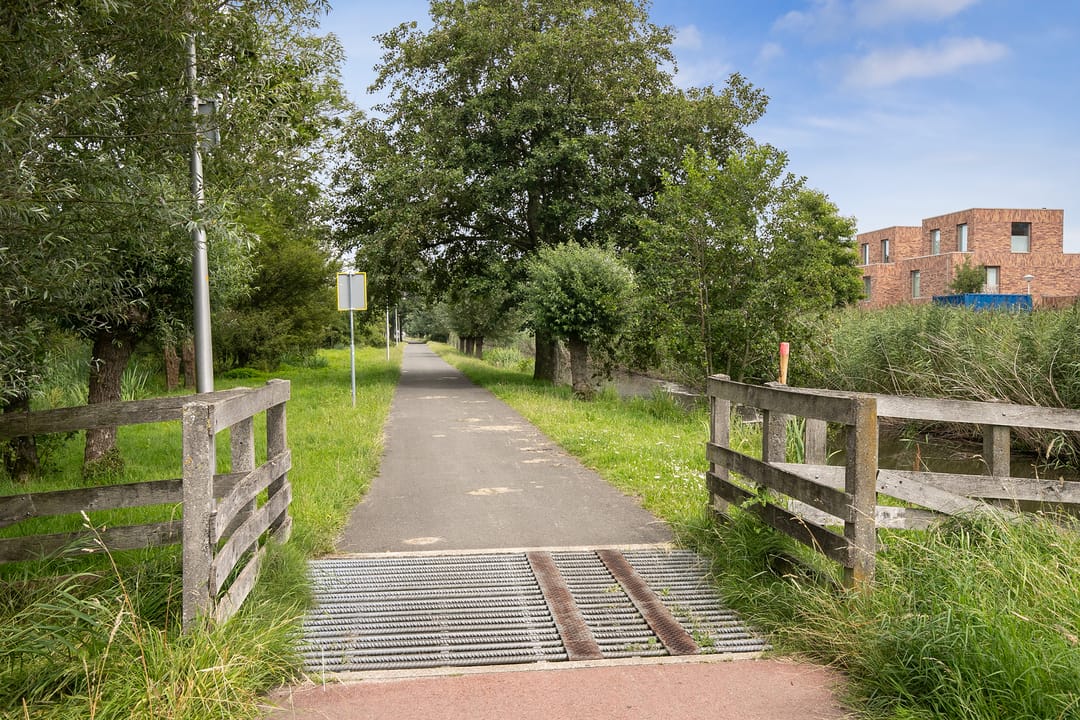 Foto 43 van Lisdodde 217