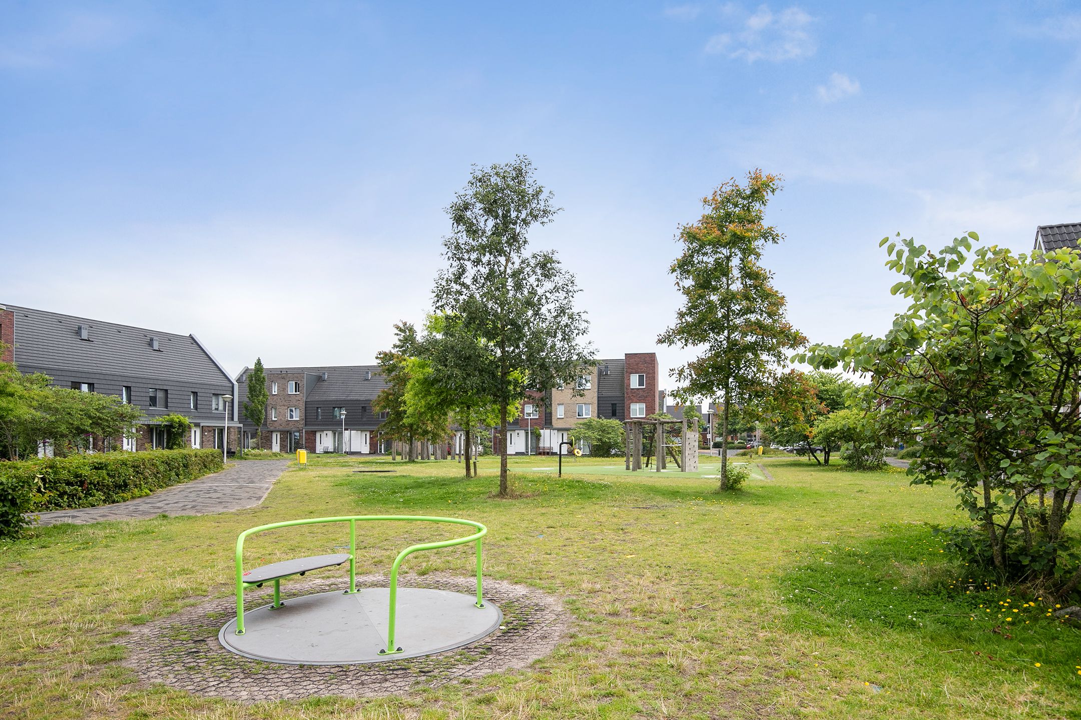 Foto 45 van Lisdodde 217