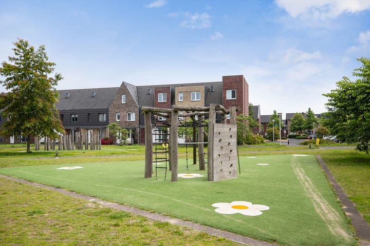 Foto 46 van Lisdodde 217