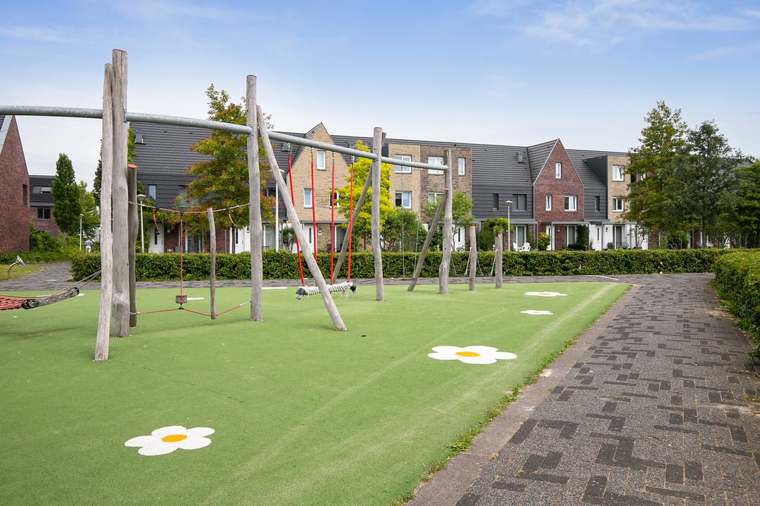 Foto 47 van Lisdodde 217