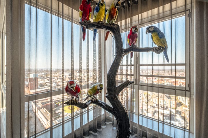 Foto 13 van Mooienhof 175