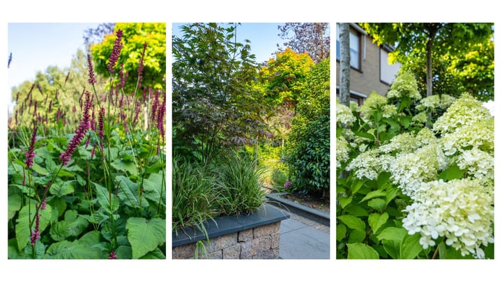 Photo 25 of Prunuslaan 50