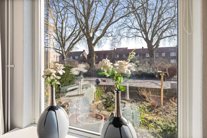 Foto 6 van Ruysdaelstraat 48