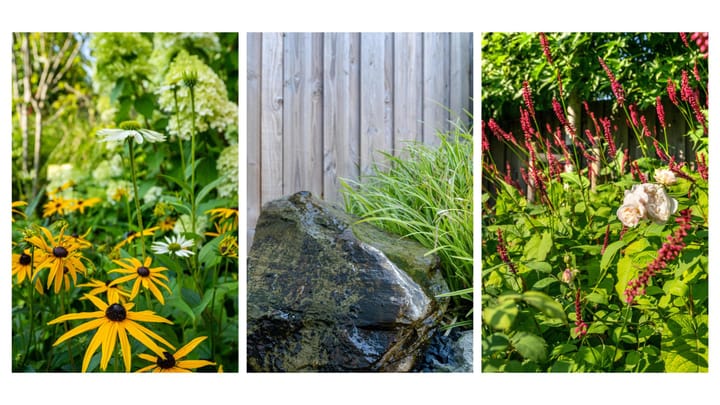 Photo 32 of Prunuslaan 50